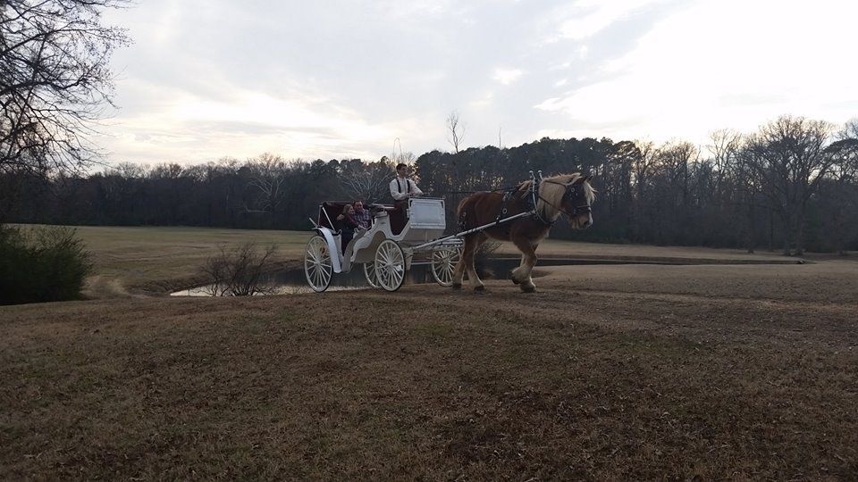 horse drawn carriage for a wedding in arkansas