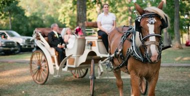 Wedding carriages in Arkansas wedding carriages in arkansas