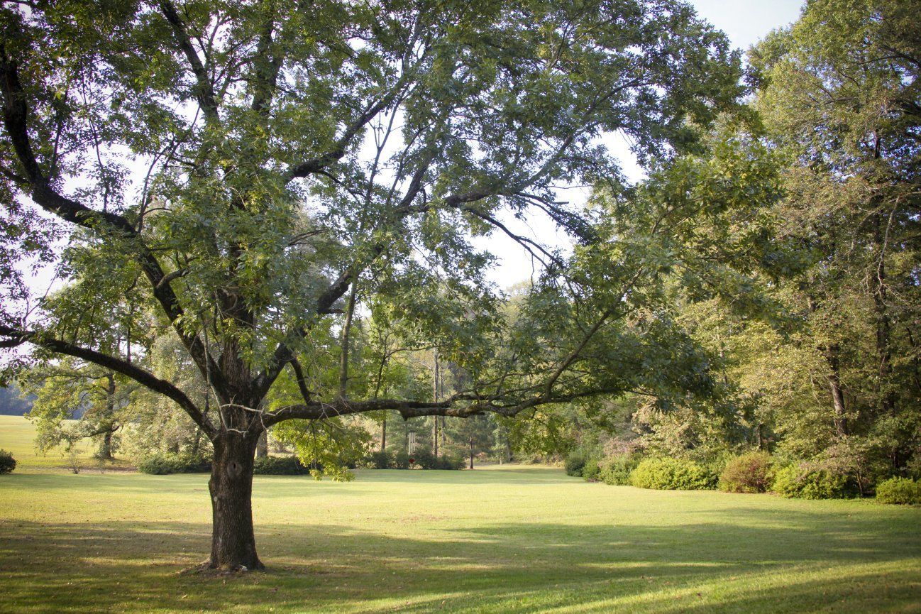 little rock proposal venues