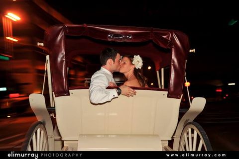 carriage rides in arkansas carriage rides in arkansas
