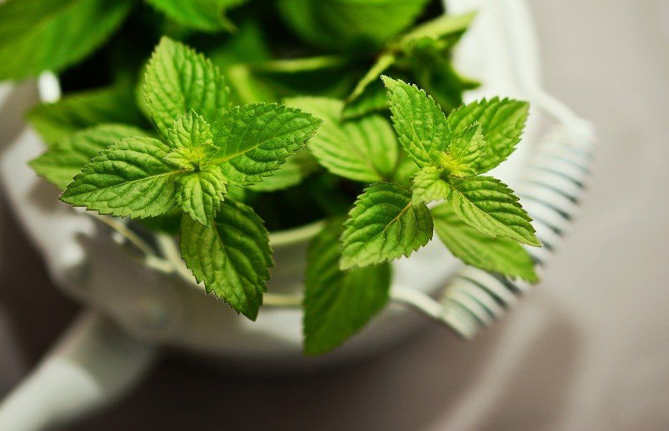 MINT CHUTNEY