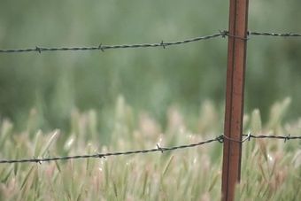 Agricultural wire fencing