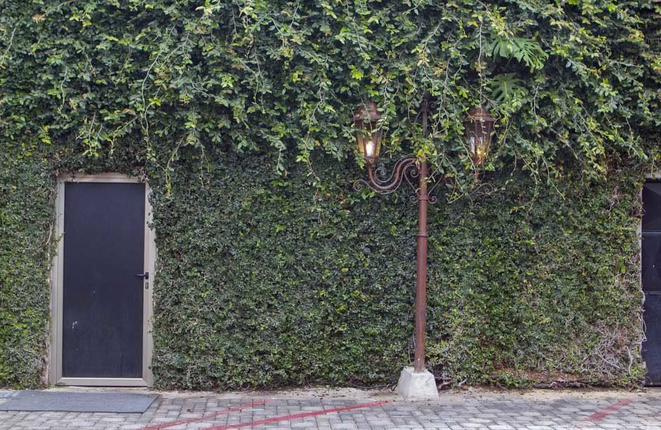 Multiservicio-Pared