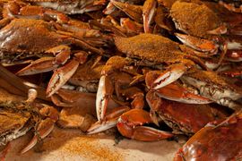 Cooked Crabs — Bozman, MD — PT Hambleton Seafood Cooked Crabs — Bozman, MD — PT Hambleton Seafood