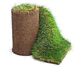 Roll of Sod - Sod Delivery in Colorado Springs, CO Roll of Sod - Sod Delivery in Colorado Springs, CO