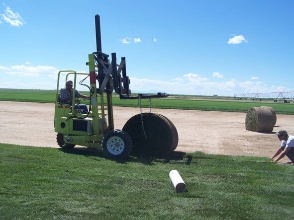 Installing Sod - Sod Farm in Colorado Springs, CO