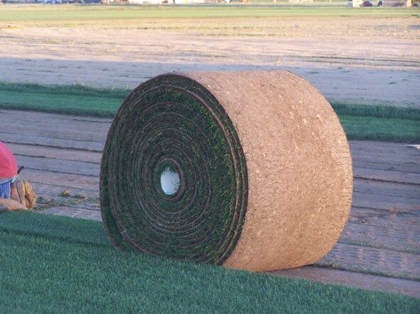 Sod Roll - Sod Farm in Colorado Springs, CO