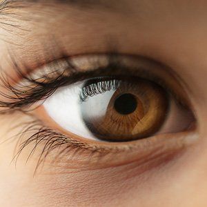 A close up of a woman 's brown eye with long eyelashes.
