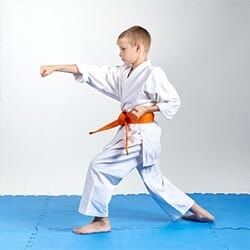 Boy Performing Karate — After School in Woodridge, IL Boy Performing Karate — After School in Woodridge, IL