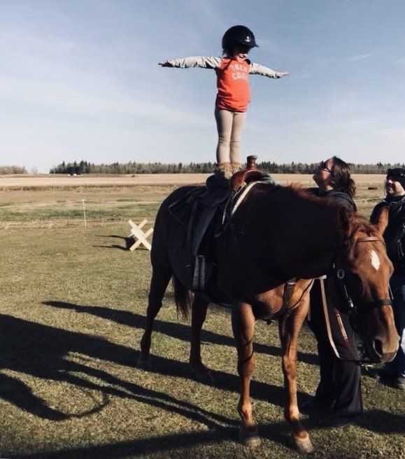 Healing Reins Falher Alberta