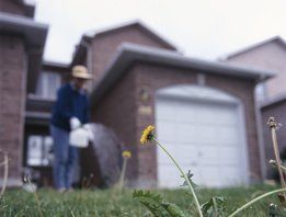 Termite Extermination & Protection That Lasts 10 Years