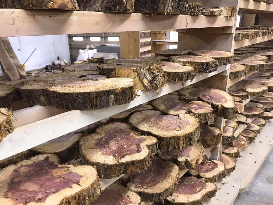 Live edge tree cookies red cedar
