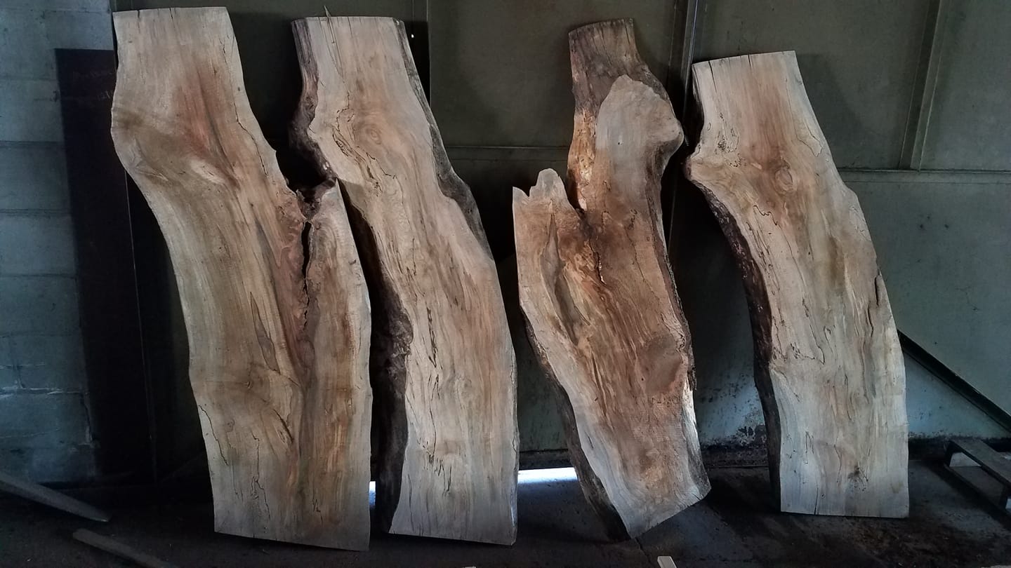 Live edge slabs, various sizes.