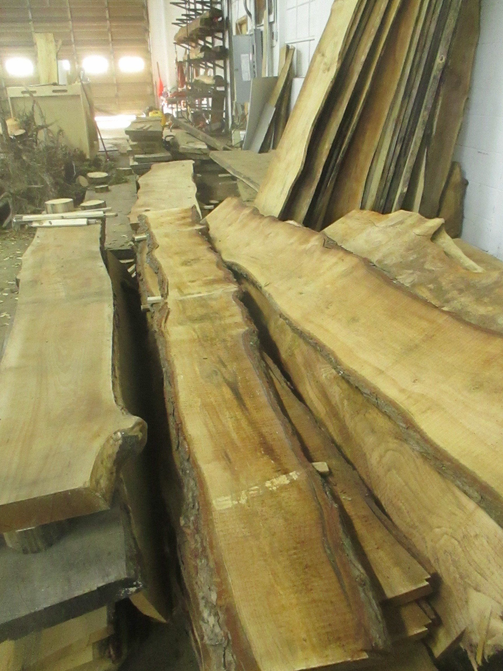 Large Live Edge Slabs 2