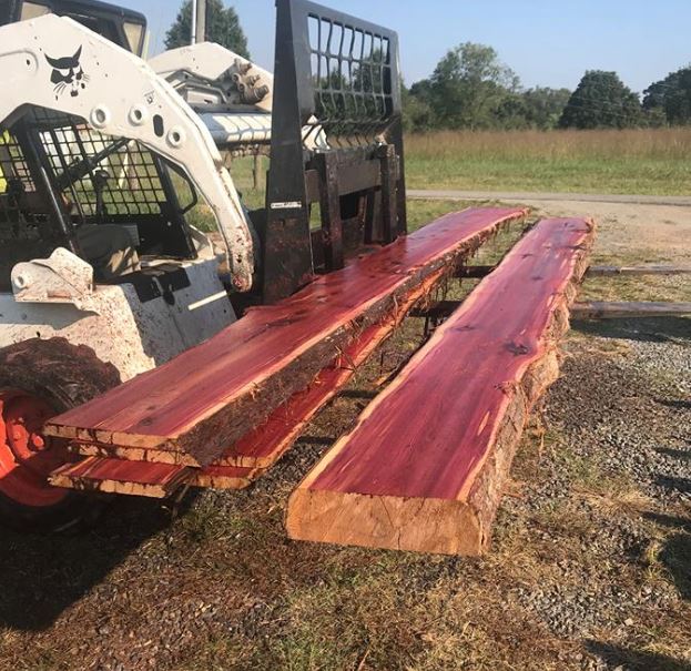 Fresh live edge Red Cedar slabs
