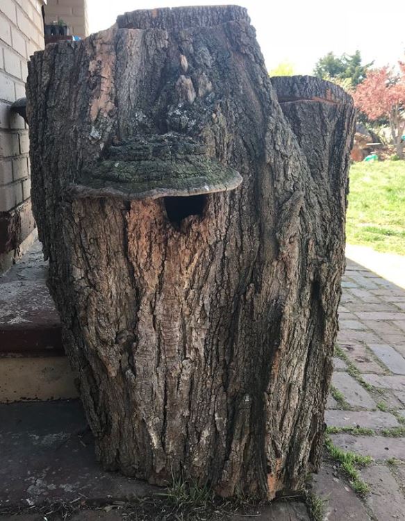 Stump