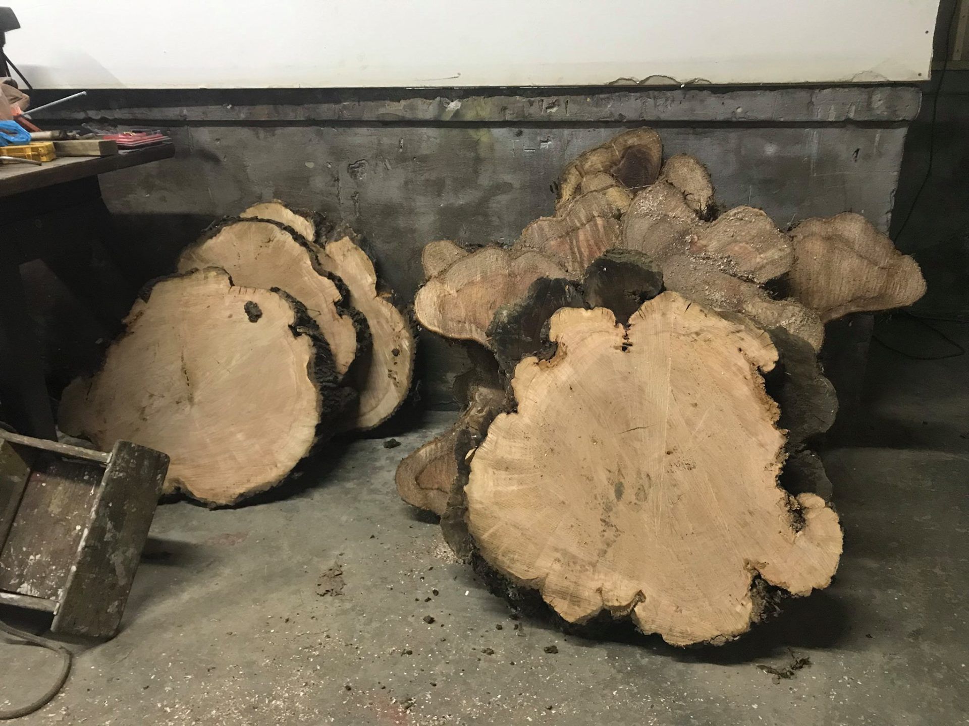 Hardwood Tree Cookies, Pucks