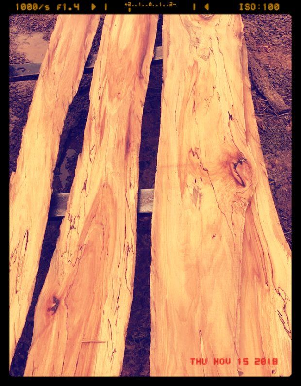 Live Edge Slabs