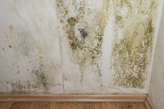 Mold on wall, image