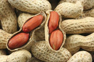 Allergy Testing Puyallup