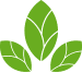 Allergy Relief Tacoma