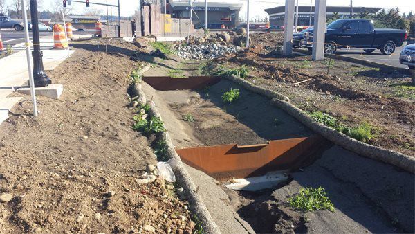 bioswales