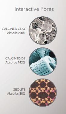 Interactive Pores