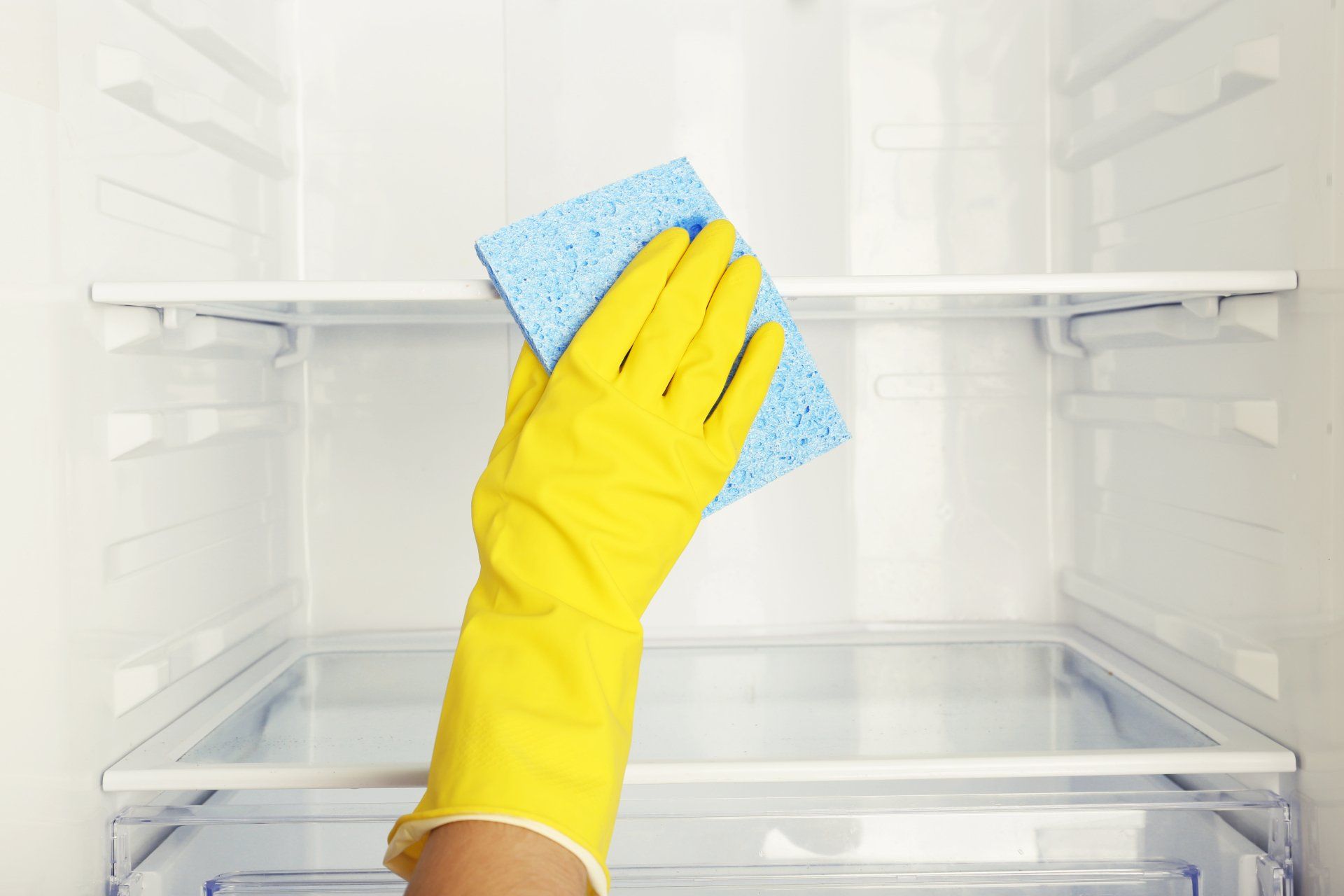 fridge cleaning