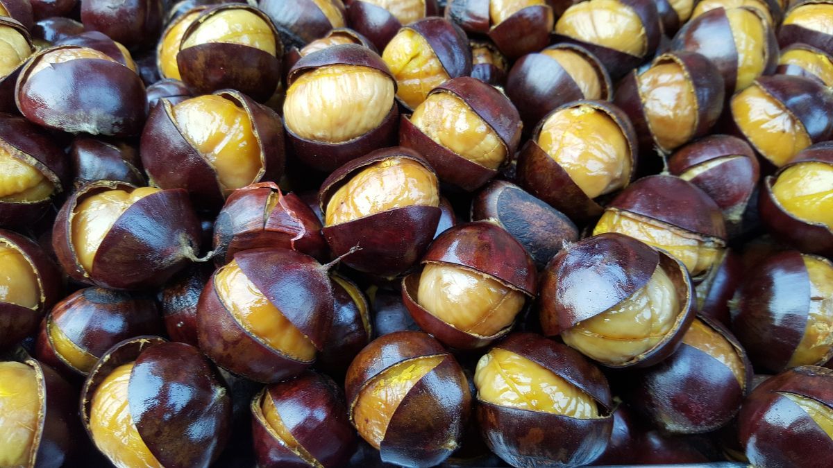 Caldarroste