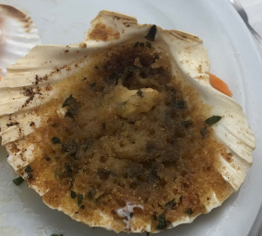 capasanta gratinata