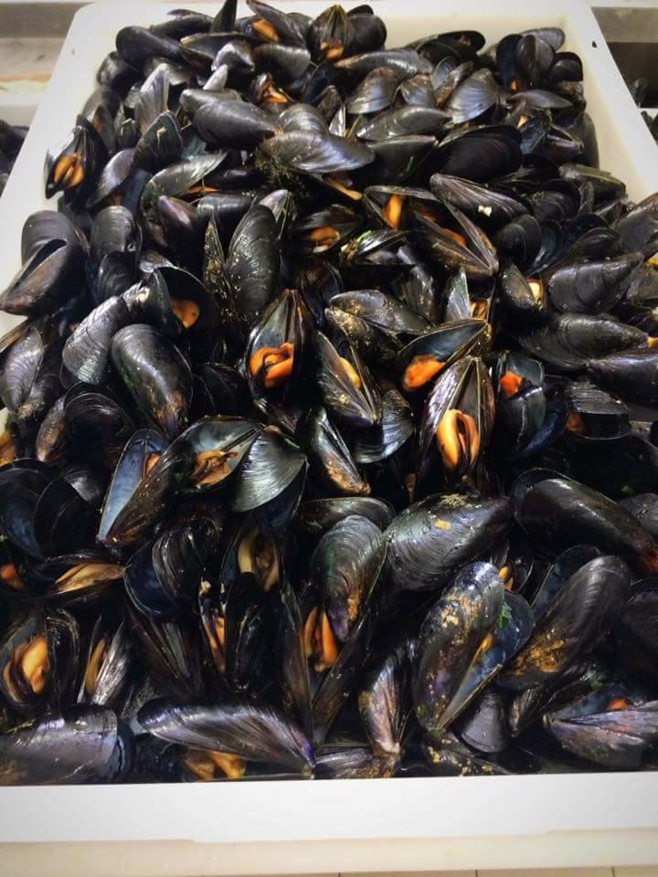 cozze