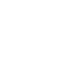 Color Icon