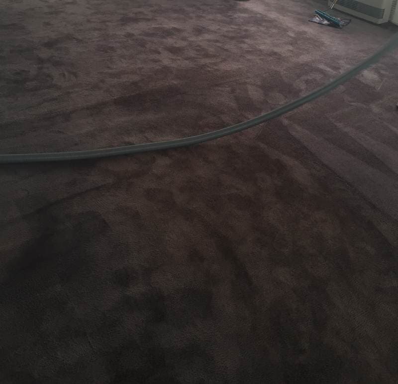 After Cleaning Carpet — Vac-Mop Cleaning Services in Alice Springs, NT