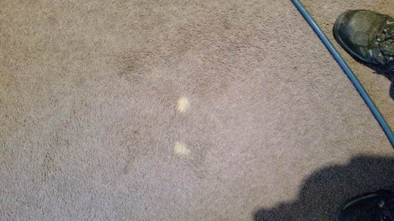 Before — Vac-Mop Cleaning Services in Alice Springs, NT