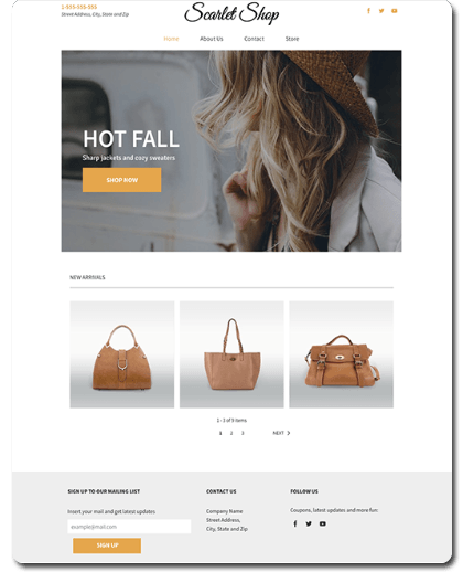 Hand Bag Store Website