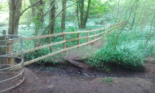 common fencing