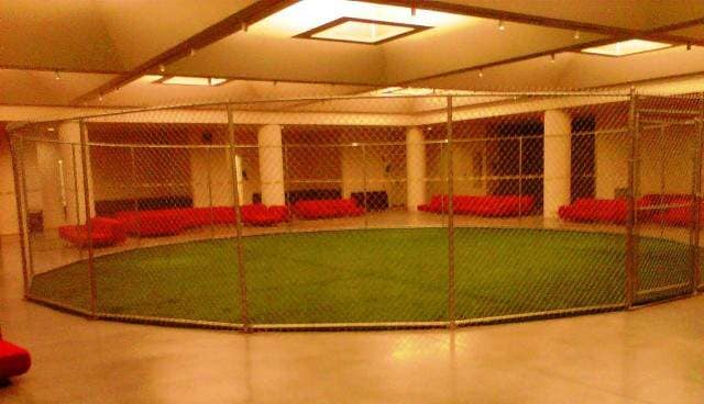 Slat_Security Fencing_chain link11