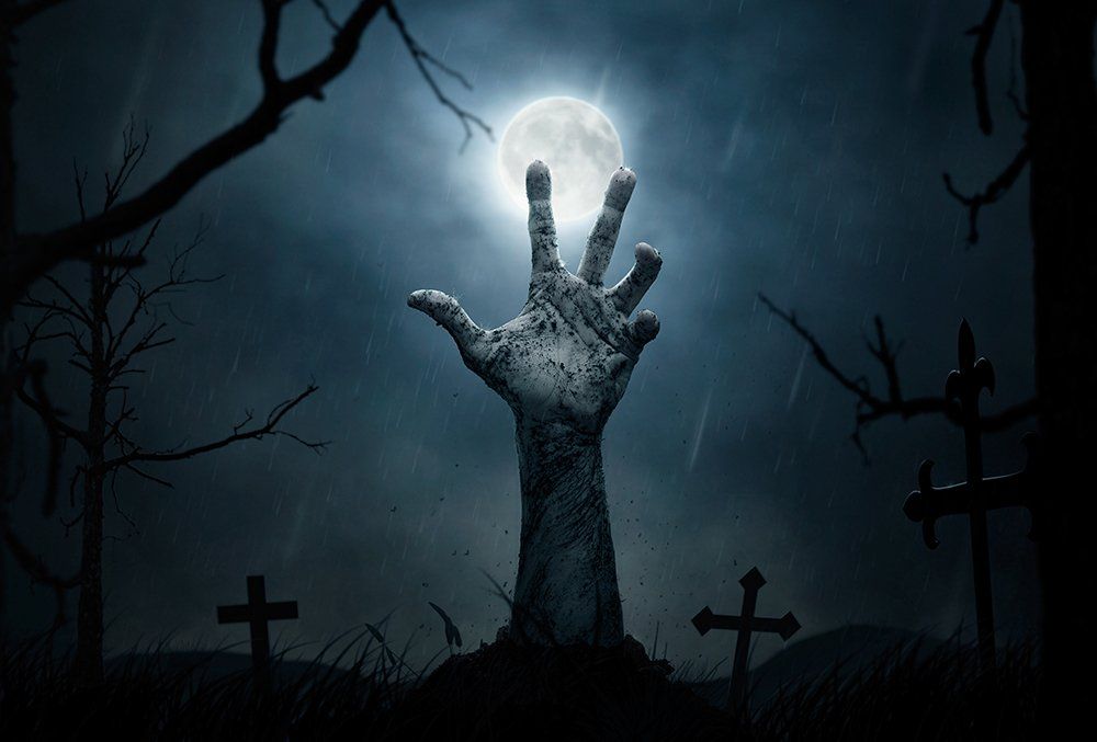 8 reasons to go on a zombie hunt