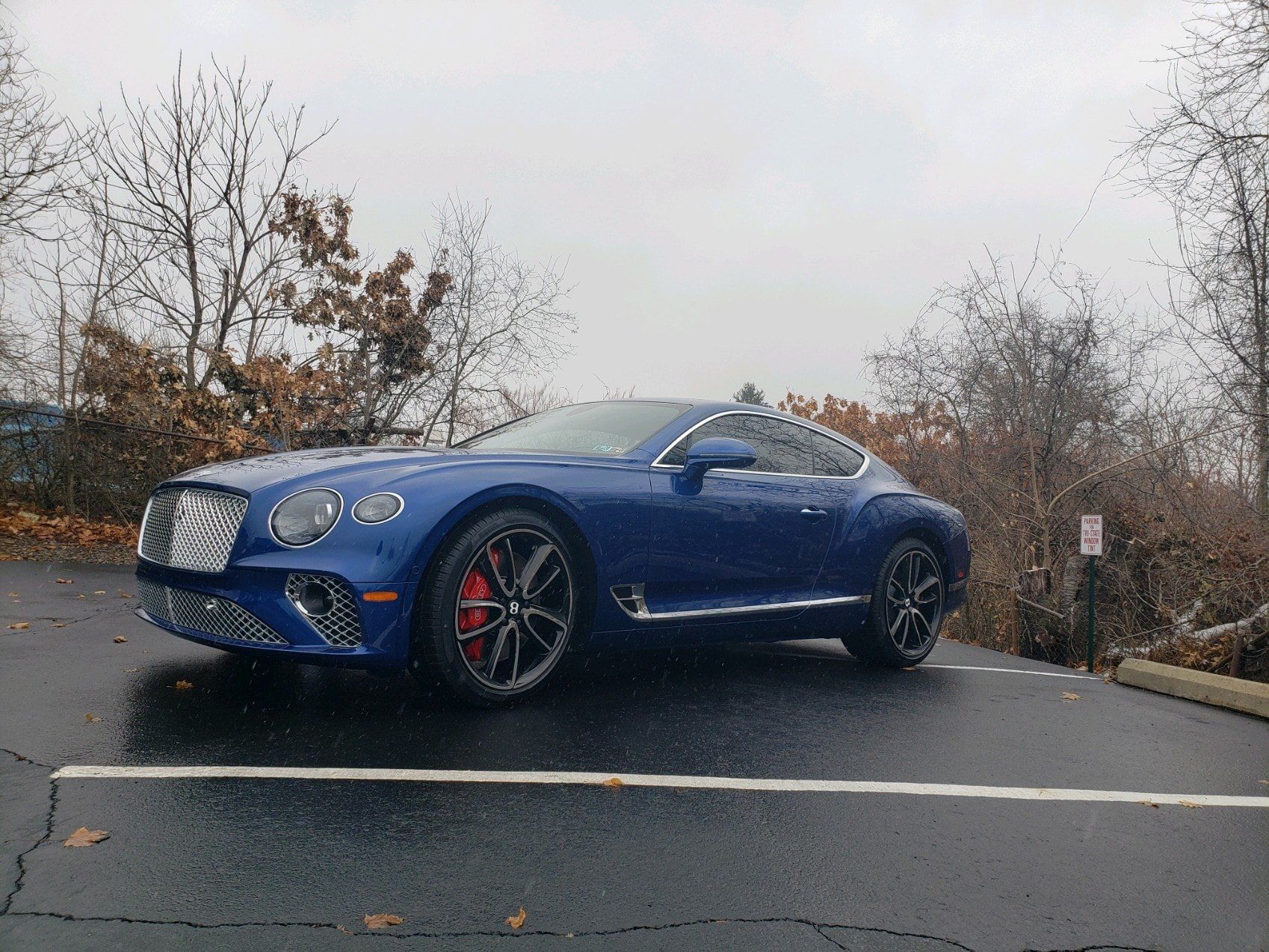 window tint percentages
