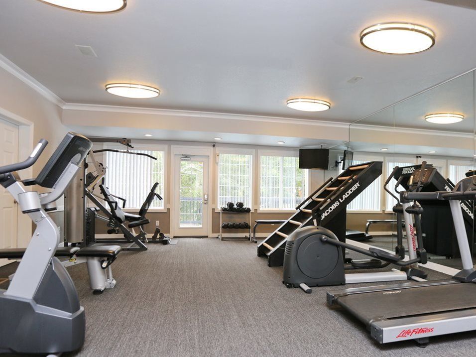 Interior view of a gym