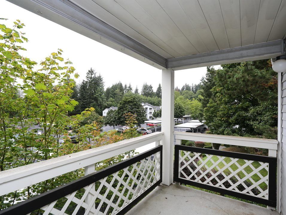 Exterior of deck overlooking forested area