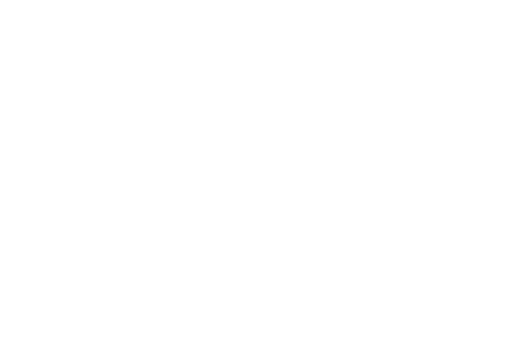 LVG MGT Logo