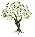 lenard properties logo tree