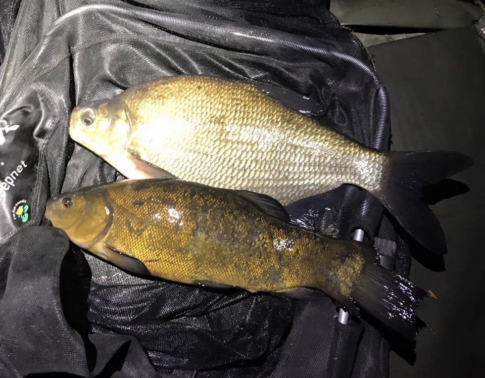 Two fish are laying on top of a black cloth.