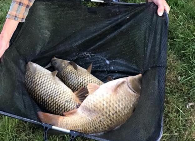 A person is holding a bag of fish in their hands.