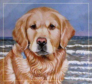 brown dog portrait