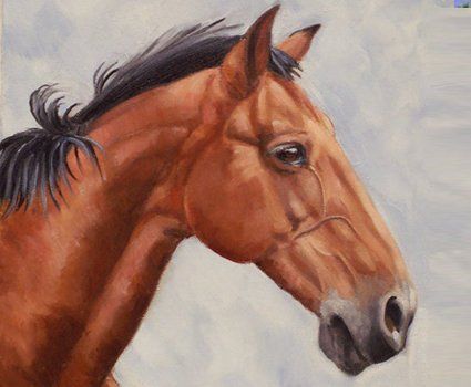 horse portrait