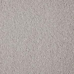 Alloy Grey