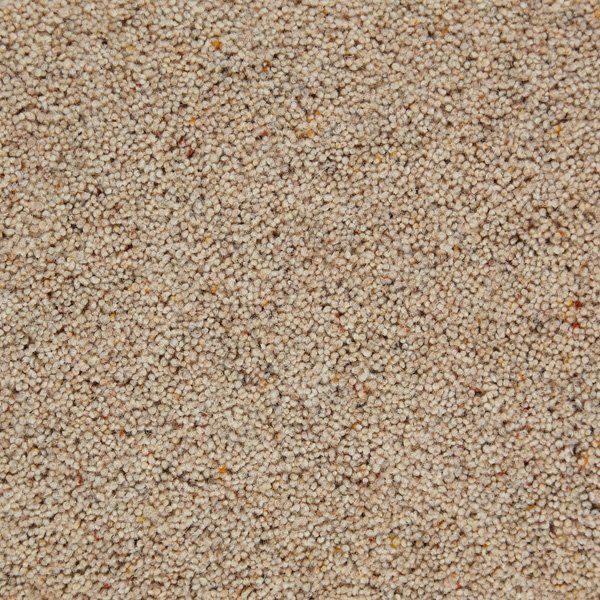 Barley