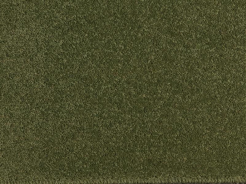 Calke Green